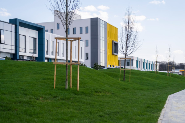 Investment in real estate at 11.8% per annum in USD 